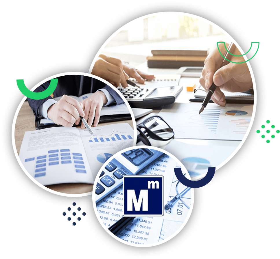 Mali Müşavir Web Sitesi